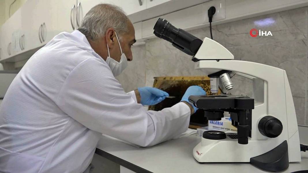 O kentin balı, Fransa'da binlerce markette satılacak! Avrupa Birliği tarafından tescillendi, tonlarca ihraç ediliyor 14